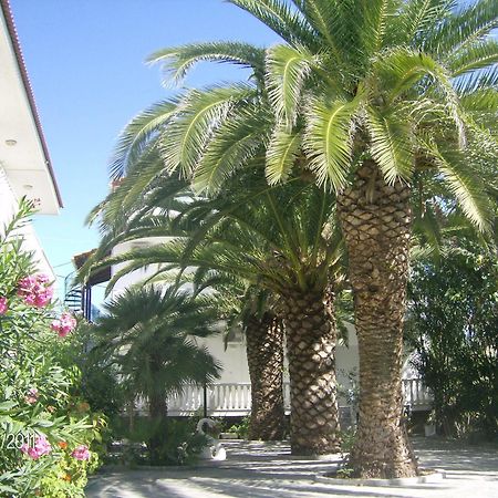 Villa Daizy Boutique Apartments Laganas Bagian luar foto