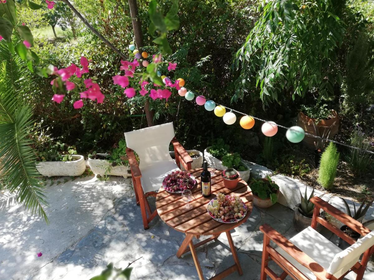 Villa Daizy Boutique Apartments Laganas Bagian luar foto