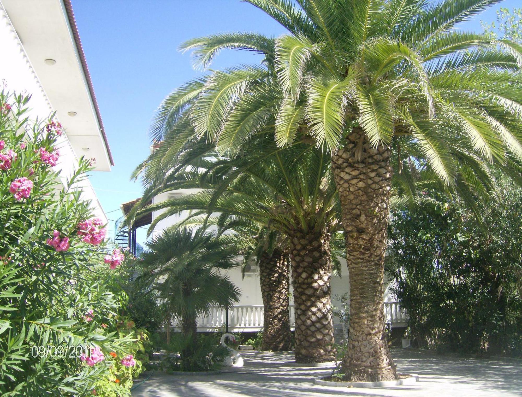Villa Daizy Boutique Apartments Laganas Bagian luar foto